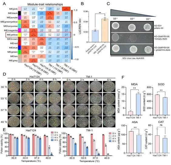 //mmbiz.qpic.cn/mmbiz_jpg/mvLP8HkvTxRt42BNnkNtYWYCXORpnMjRWM9FHxMY1ca7cYyDYda7mHuQoEjGhFD3wuCEu2C6RKFpEicfXQ867iag/640?wx_fmt=jpeg&from=appmsg